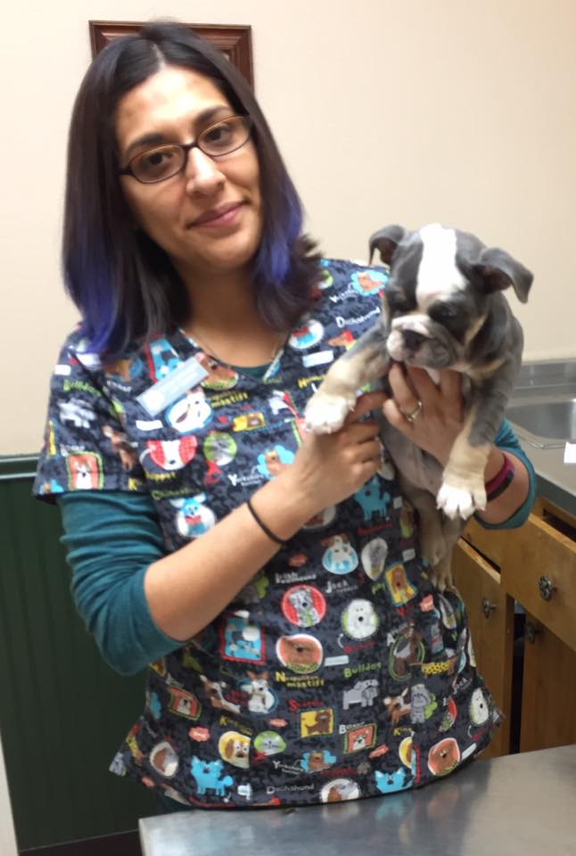 tejasveterinaryclinic Corpus Christi, TX Photo Album